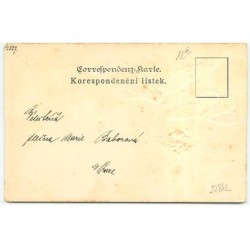 n°22842 - Carte Gaufrée - Animaux - 2 Papilllons portant des fleurs