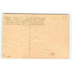 n°22888 - Carte Gaufrée - Fantaisie - Couple s'embrassant dans une voiture au clair de lune