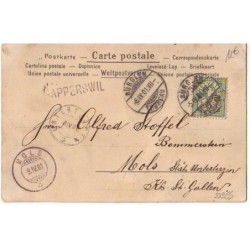 n°22955 - Carte avec des Paillettes - Jeune femme coiffée d'un chignon, et portant une robe avec des roses