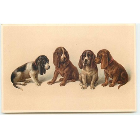 n°23024 - Chien - MM Vienne n°1123 - Quatre chiens - Basset