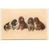 n°23024 - Chien - MM Vienne n°1123 - Quatre chiens - Basset