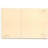 n°23024 - Chien - MM Vienne n°1123 - Quatre chiens - Basset