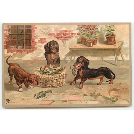 n°23095 - Chiens - Teckels mettant des écrevisses dans un panier - dackel