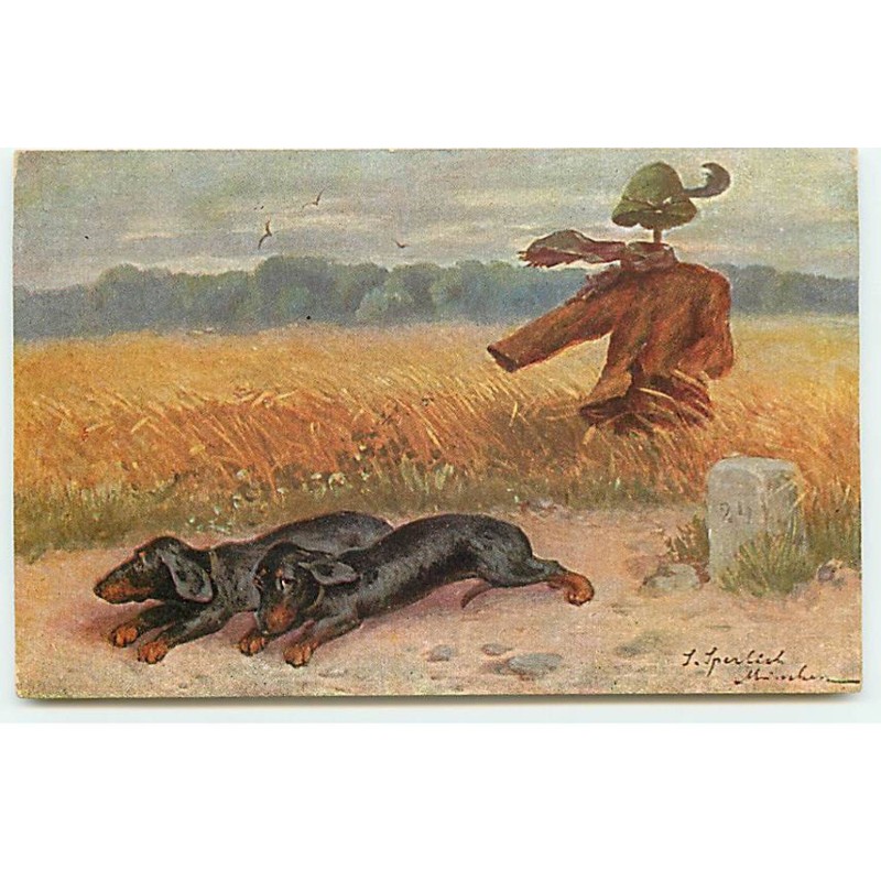 n°23097 - Chiens - Teckels effrayés par un épouvantail - dackel