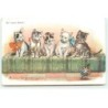 n°23100 - Animaux - Chats - Das bunte Rätsel - Chats regardant une toupie