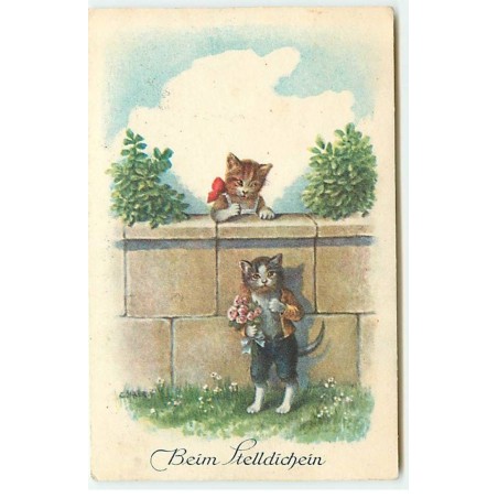n°23108 - C. Ohler - Beim Stelldichein - Chat faisant la cour avec un bouquet de Fleurs