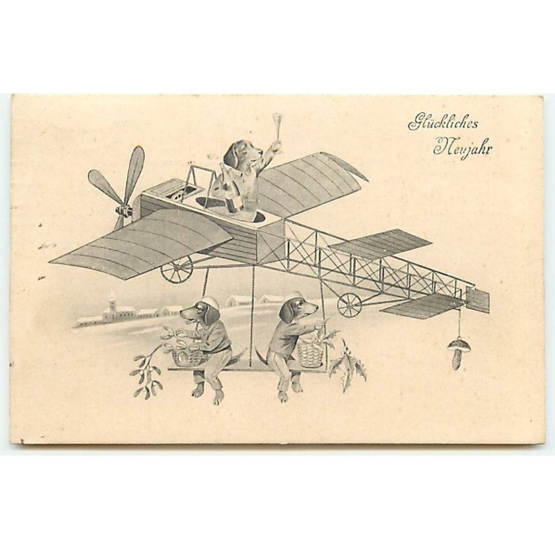 n°23129 - Gluckliches Neujahr - Teckels trinquant dans un avion - dackel