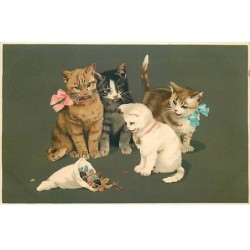 n°23189 - Meissner - Chats...