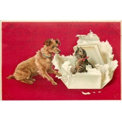 n°23190 - Carte Gaufrée -...