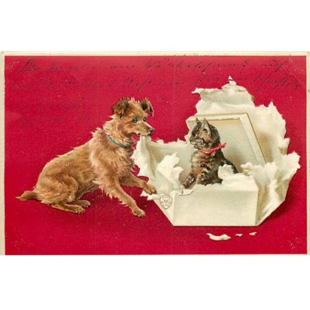 n°23190 - Carte Gaufrée - Chien déchirant un paquet où se trouve un chat