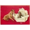 n°23190 - Carte Gaufrée - Chien déchirant un paquet où se trouve un chat