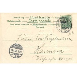 n°23190 - Carte Gaufrée - Chien déchirant un paquet où se trouve un chat