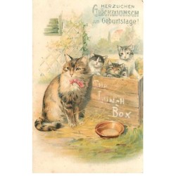 n°23194 - Chat - The Lunch...