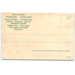 n°23343 - Carte Gaufrée - Anniversaire - Facteur sur un char tiré par des papillons