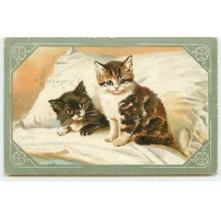 n°23349 - Animaux - Chat -...