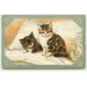 n°23349 - Animaux - Chat - Deux chats sur un lit