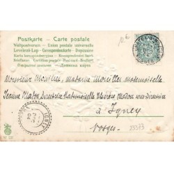 n°23373 - Carte Gaufrée - Bonne et Heureuse Année - Lutin faisant sauter un cochon au milieu de muguets