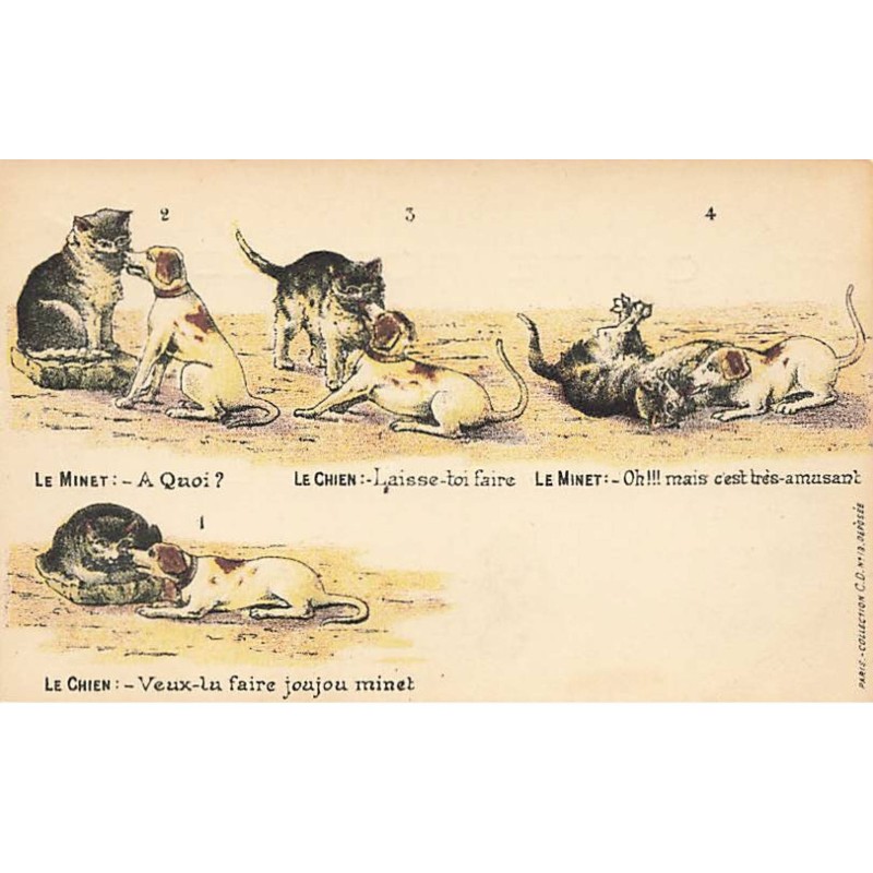 n°23400 - Fantaisie - Un chien et un chat jouant ensemble