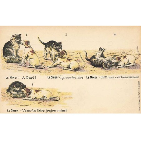 n°23400 - Fantaisie - Un chien et un chat jouant ensemble