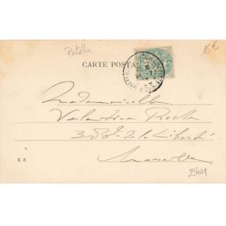 n°23401 - Art Nouveau - P. Patella - Jeune femme parlant à des cygnes