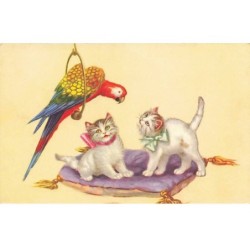 n°23490 - Animaux - Chats...
