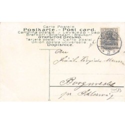 n°23513 - Nouvel An - Prosit Neujahr 1906 - Enfant au volant d'une voiture
