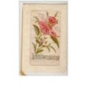 n°2353 - Carte Brodée - Anniversaire - Aubépine