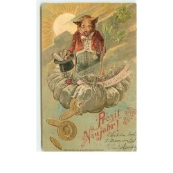 n°11647 - Carte Fantaisie...