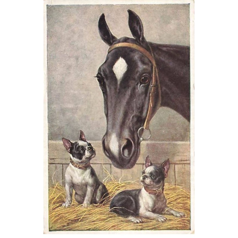 n°23593 - Chien - Deux bouledogues français près d'un cheval