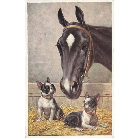 n°23593 - Chien - Deux bouledogues français près d'un cheval