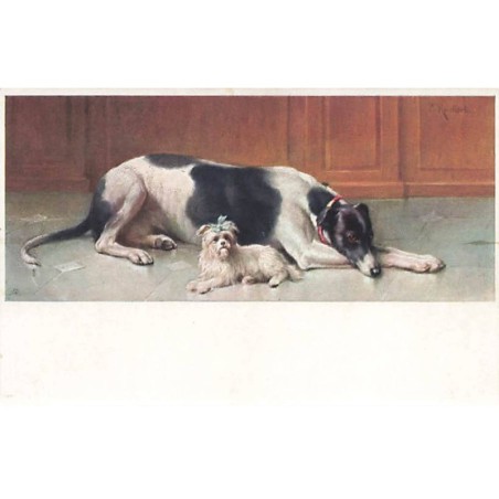 n°23594 - Animaux - MM Vienne n°765 - Deux chiens allongés l'un près de l'autre - lévrier