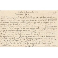 n°23594 - Animaux - MM Vienne n°765 - Deux chiens allongés l'un près de l'autre - lévrier