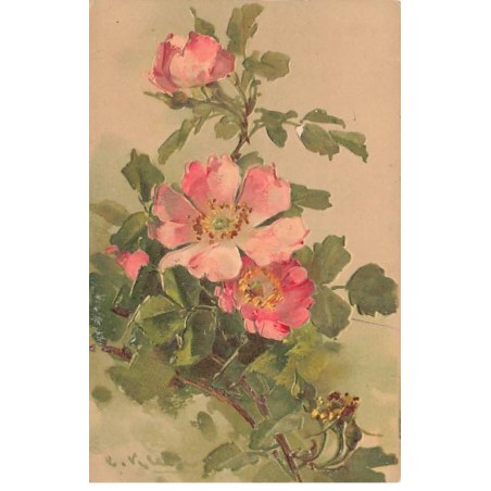 n°23621 - Carte Gaufrée - Illustrateur - C. Klein - Aubépines