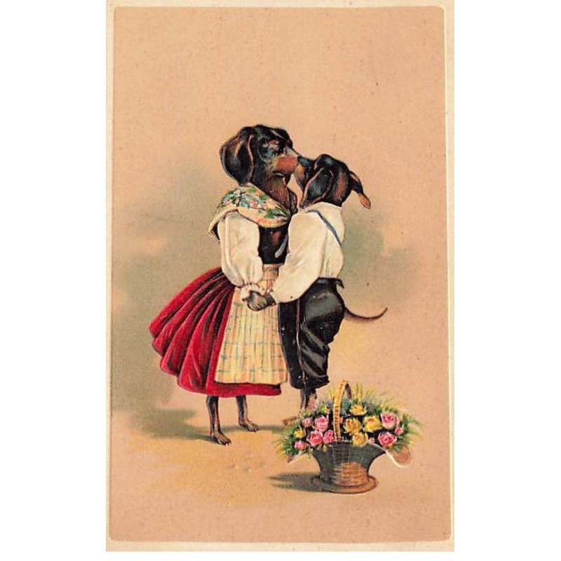 n°23645 - Carte Gaufrée - Couple de Teckels habillés s'embrassant - Dackel