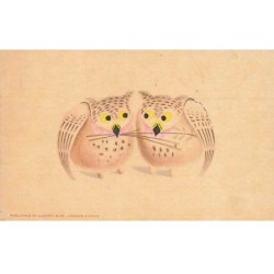 n°23747 - Animaux - Oiseau...