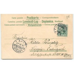 n°11678 - Carte Fantaisie - Fröhliche Pfingsten - Femme et Hannetons