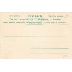 n°23828 - Nouvel An - Prosit Neujahr - Jeune femme dressant un cochon