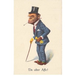 n°23840 - Animaux Habillés...