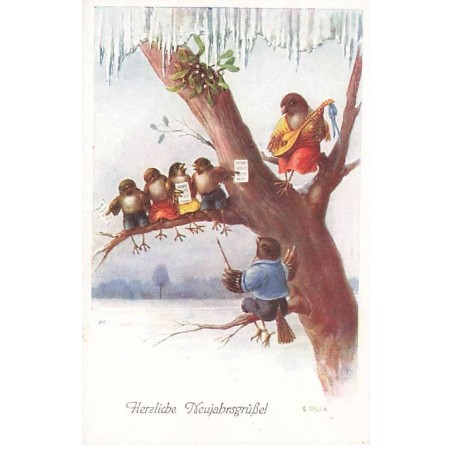 n°23872 - Nouvel An - Öhler - Chorale d'Oiseaux habillés répétant assis dans un arbre