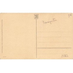 n°23962 - F. Baumgarten - Jeune fille arrossant des tulipes - Hollandais