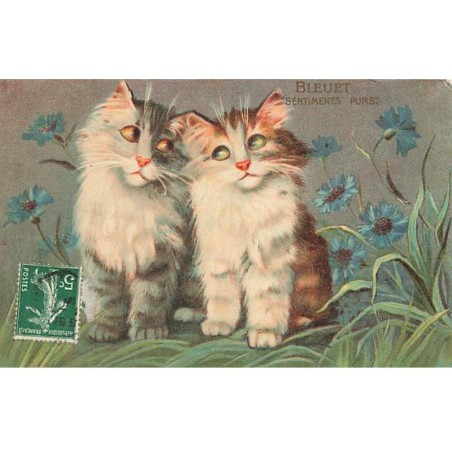 n°23969 - M. Boulanger - Bleuet sentiments purs - Deux chats se câlinant