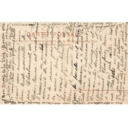 n°23969 - M. Boulanger - Bleuet sentiments purs - Deux chats se câlinant