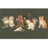 n°24050 - Meissner - Groupe de Chats - Cat