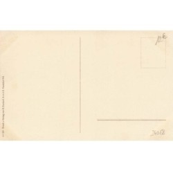 n°24068 - Fantaisie - Un fou du Roi, jouant de la mandoline pour une jeune femme s'éventant