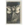 n°2416 - Reutlinger - John Taurent - Surréalisme - Femme Papillon -