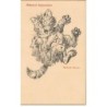 n°24166 - Animaux - Chat - Musical Impressions - Richard Strauss