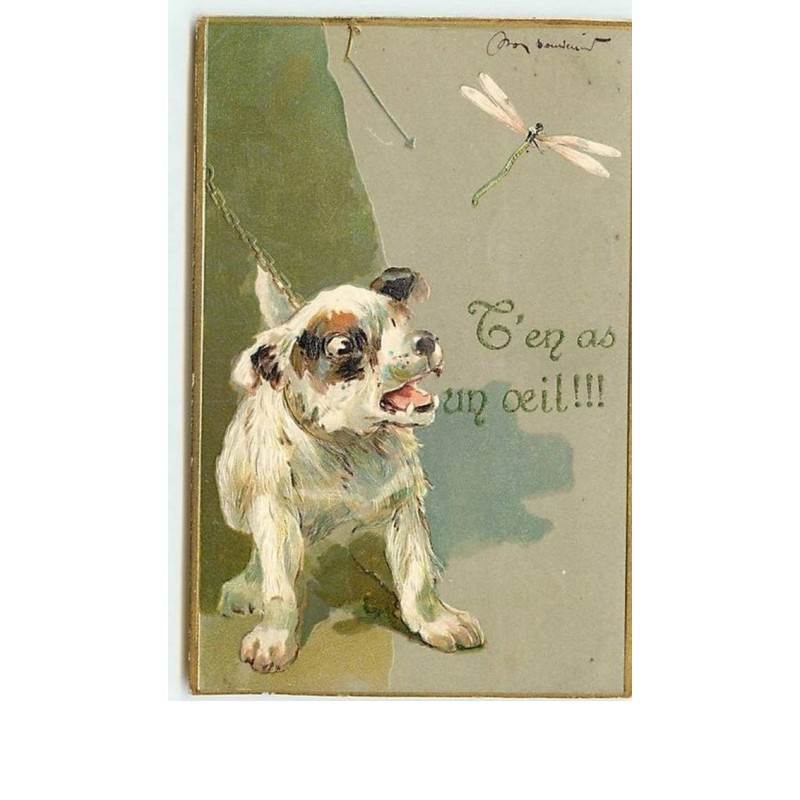n°11750 - Carte Fantaisie Gaufrée - Chien et Libellule - T'en a un Oeil