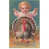 n°24274 - Carte Gaufrée - Thanksgiving Greetings - Bébé avec une dinde