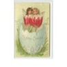 n°2433 - Carte Gaufrée - Ein Frohes Osterfest - Angelots dans des tulipes