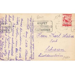 n°24460 - August Rökl n°1331 - P. Ebner - Herzliche Ostergrusse - Enfant portant un gros bouquet de fleurs